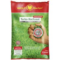Wolf Garten 3826650 Turbo-Overseeding LR-S 250 Gardening Accessory...